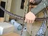 Legolas_3_thumb.jpg